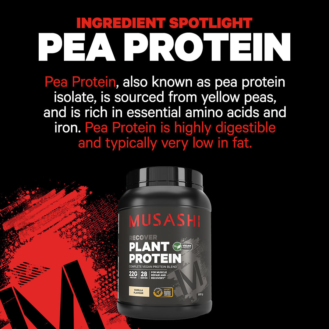 مسحوق بروتين موساشي - مسحوق بروتين نباتي